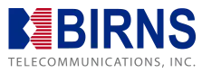 birns logo